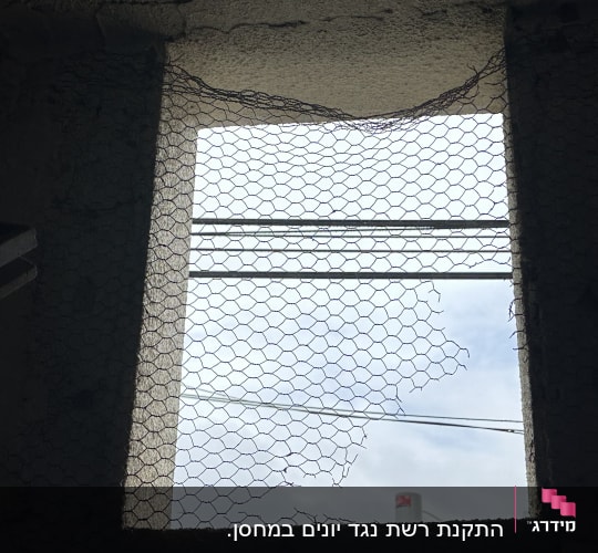 רשת תיל קרועה בחלון למניעת כניסת יונים